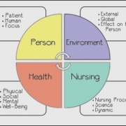 Nursing Metaparadigm